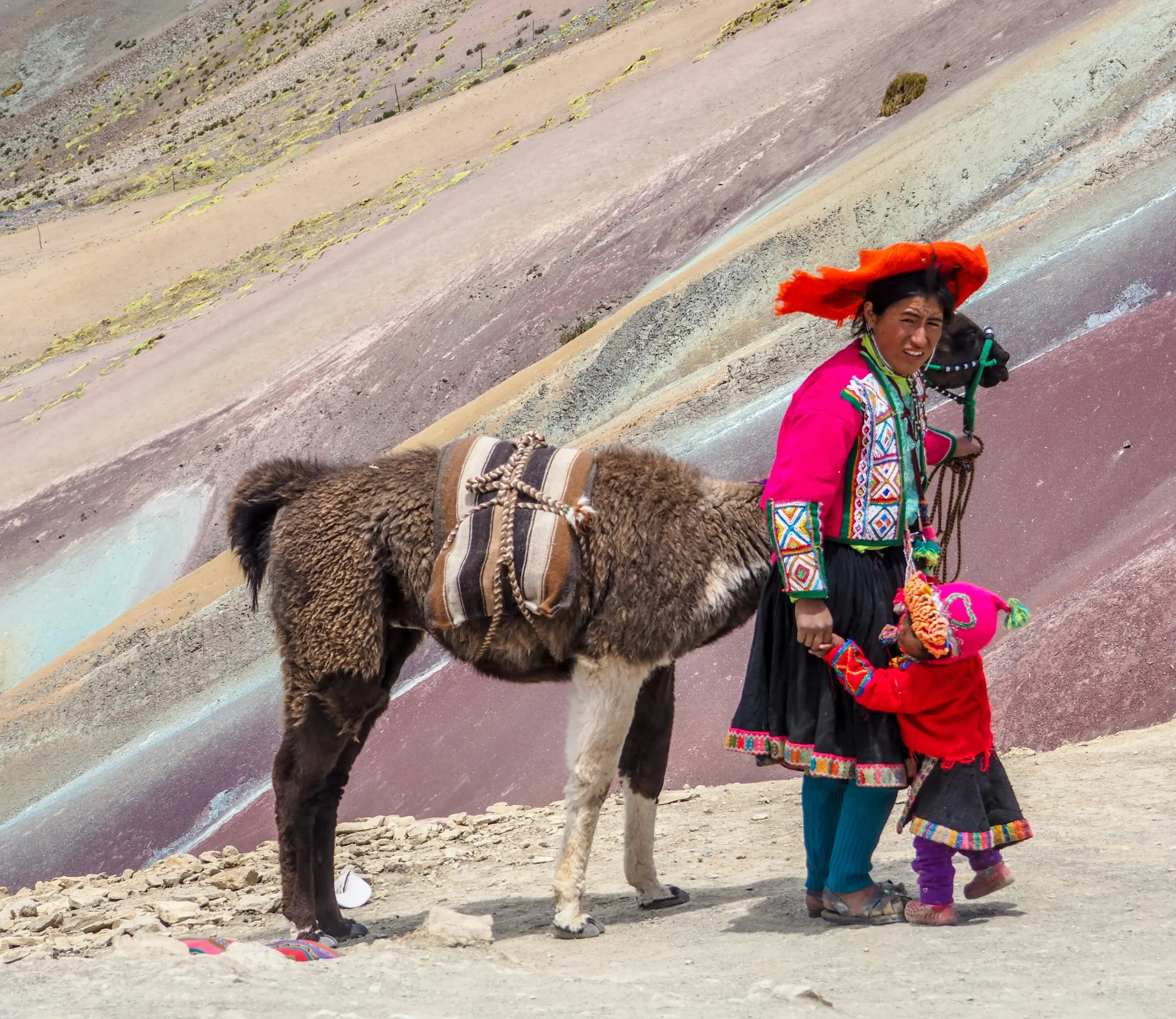 Nosotros Equipo Pachamama