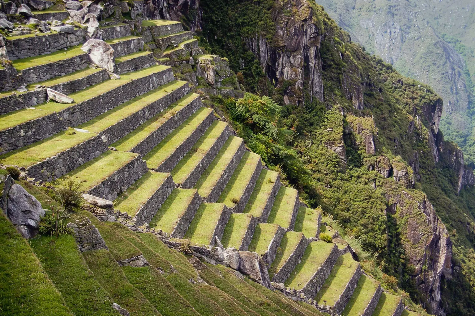 Terrazas